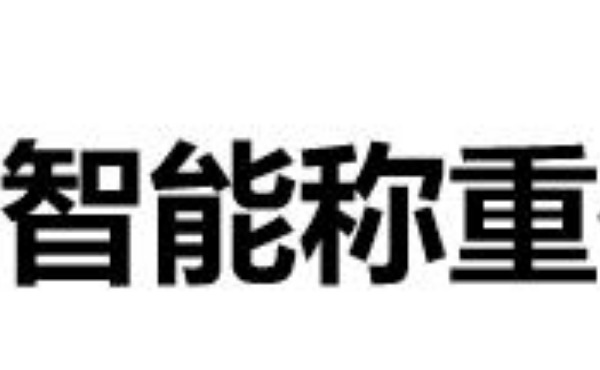 智能称重解决方案_南京思辨力电子科技有限公司