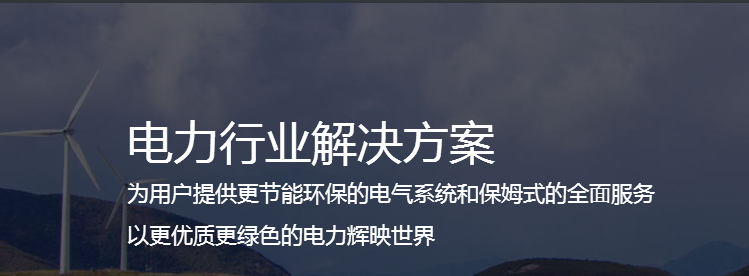 电力解决方案_蓝海汇科技-IT解决方案与服务提供商-软件系统平台开发定制软件公司