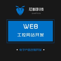 网站设计单片机web开发p_成都芯蚁科技有限公司
